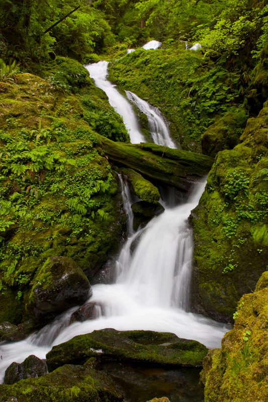 Bunch Falls